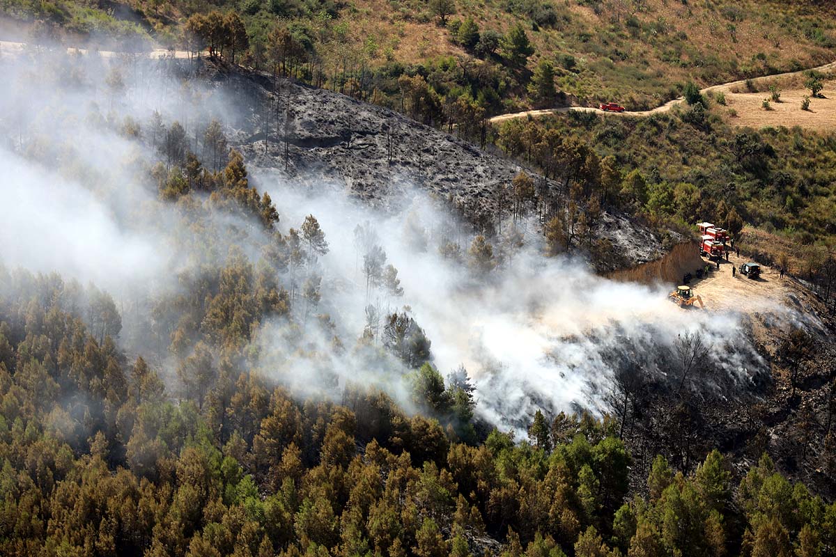 Algeria Wildfire