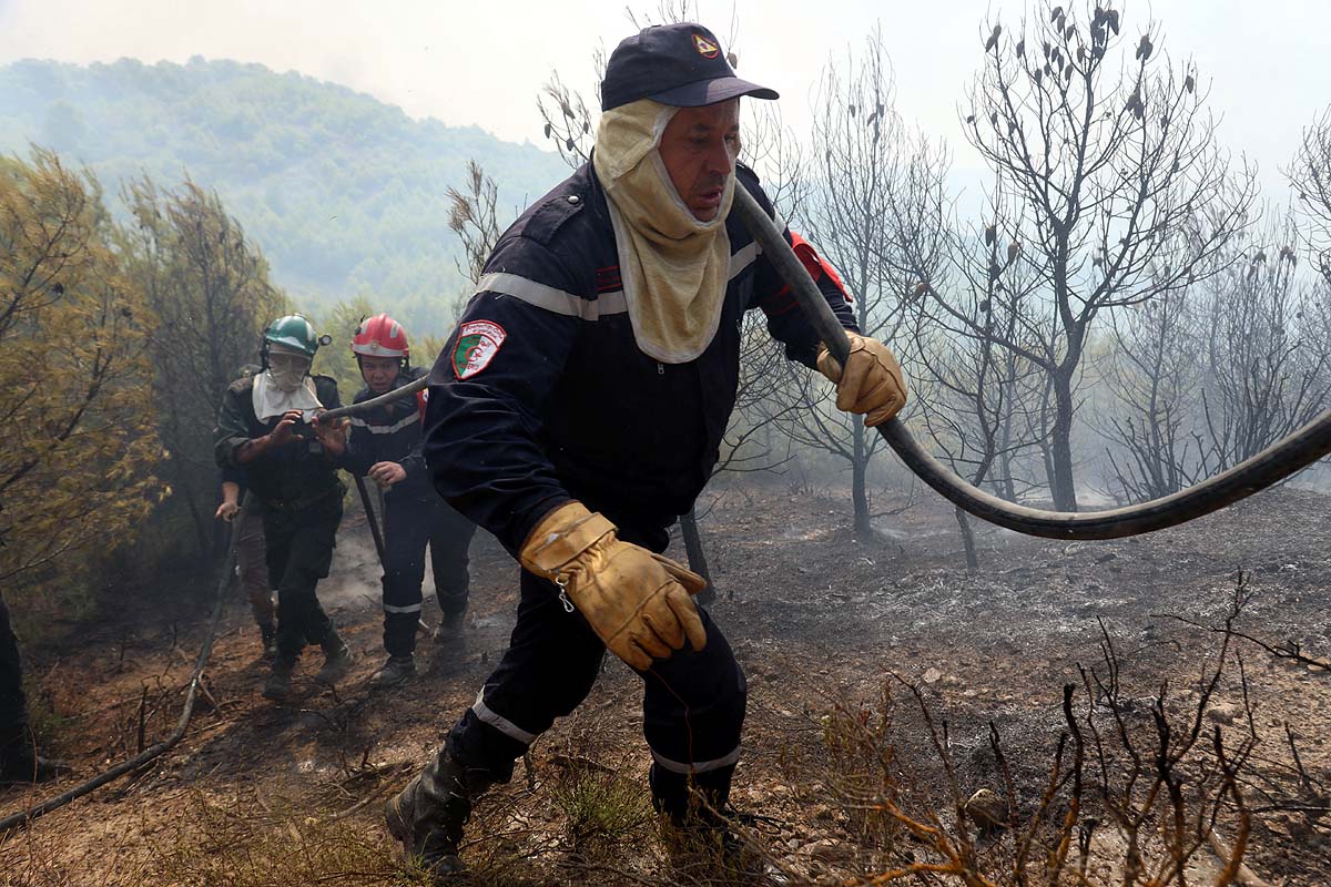 Algeria Wildfire