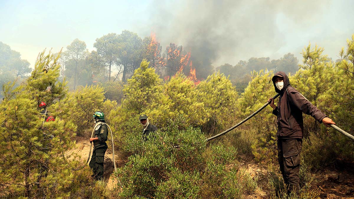 Algeria Wildfire
