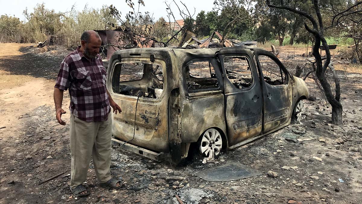 Algeria Wildfire