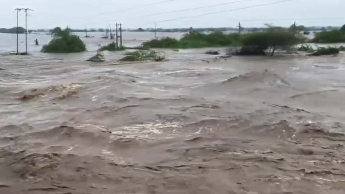 Flood like situation in Gujarat