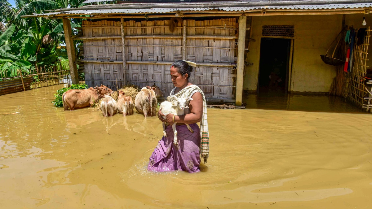 assam flood photos