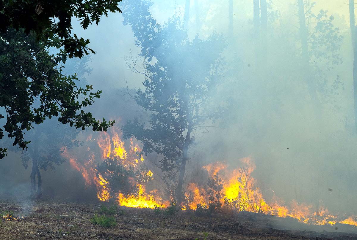 France Spain Wildfire
