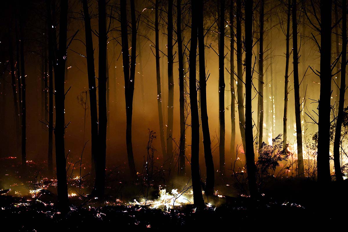 France Wildfire