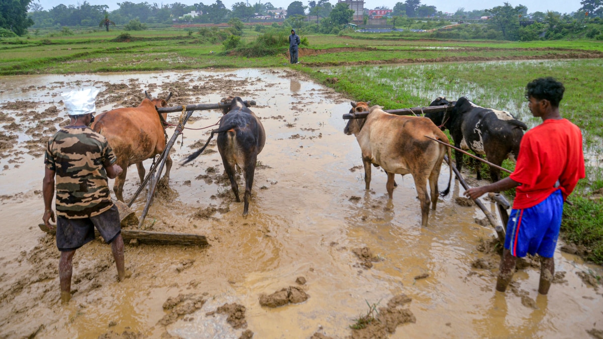 monsoon india
