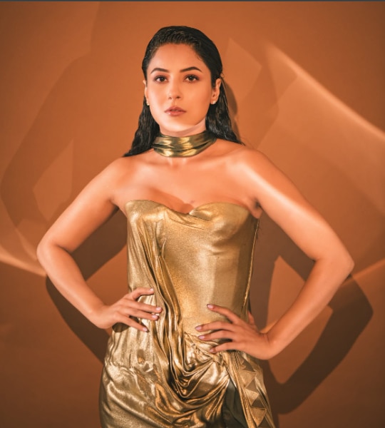 Shehnaaz Gill
