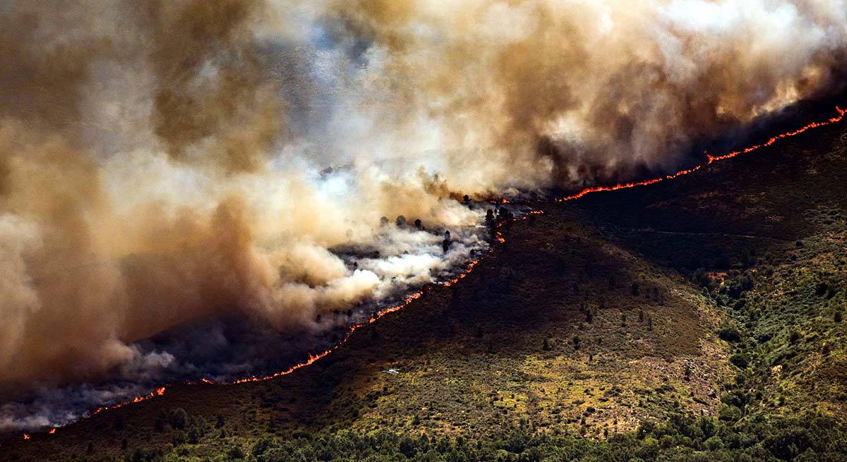 Spain Wildfire