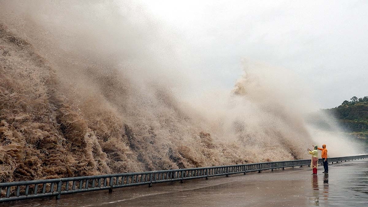 Typhoon Dolphin China