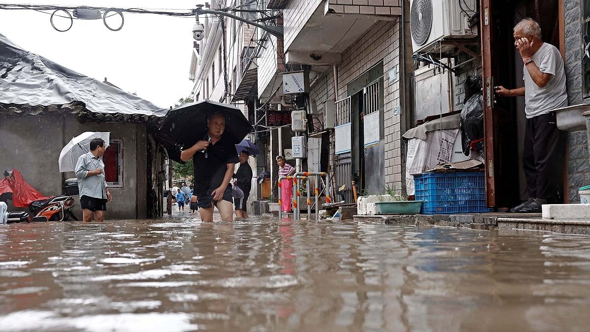 china dolphin typhoon aftermath