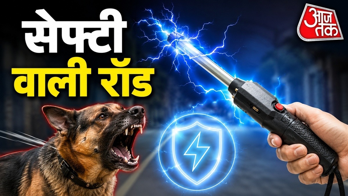 Electric Shock stick 