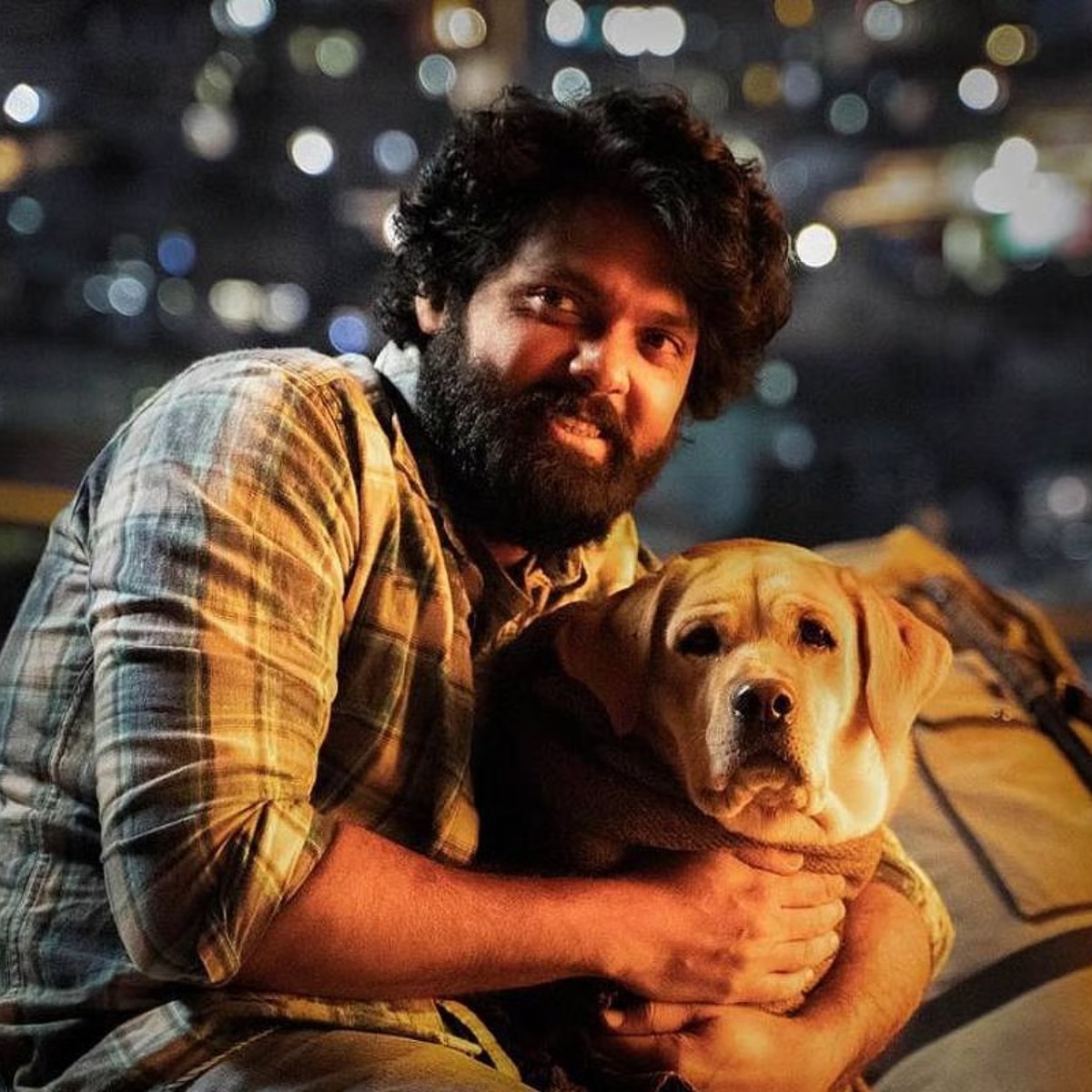 best dog movies