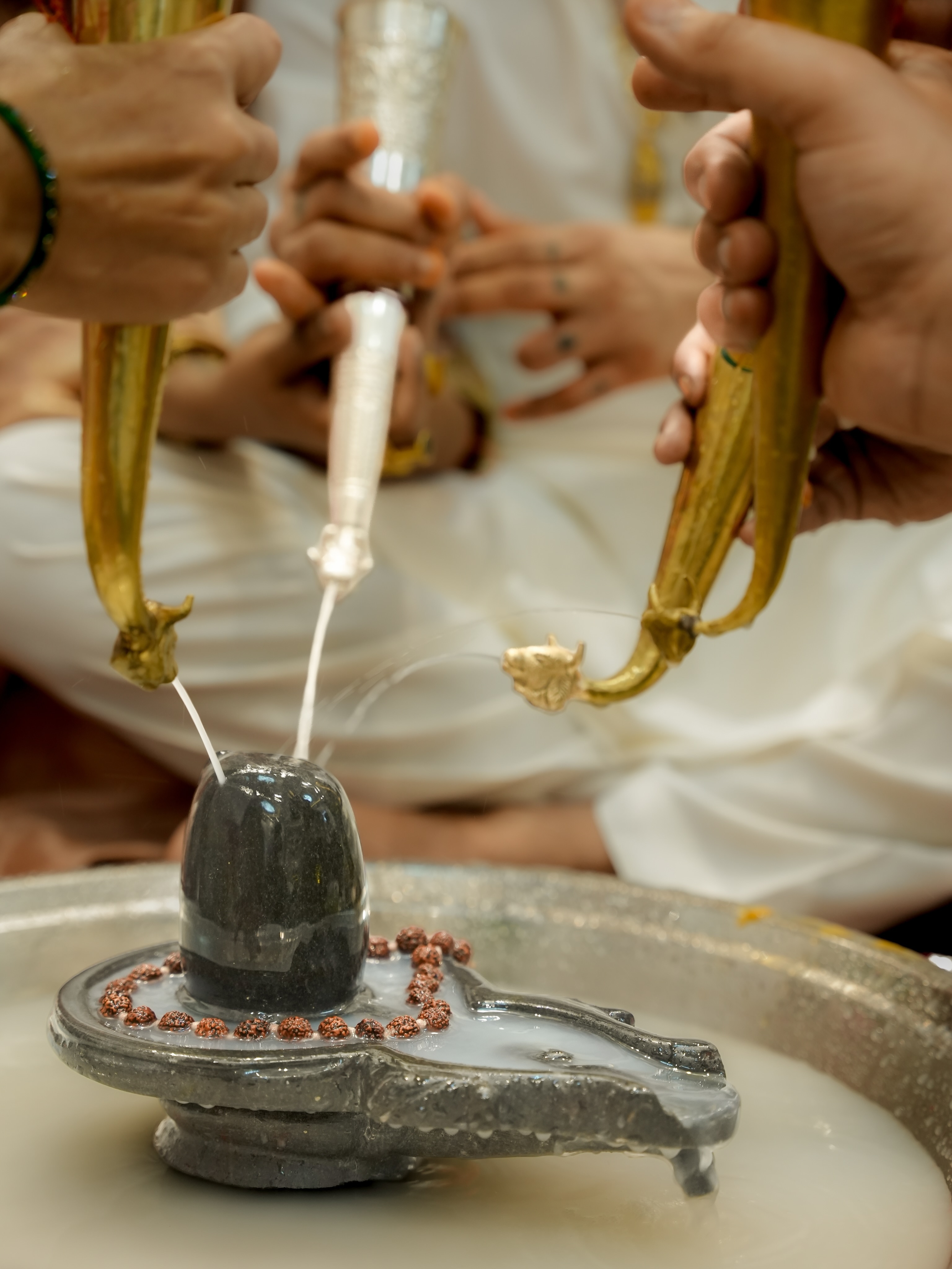 अफसाना खान ने की महादेव की पूजा