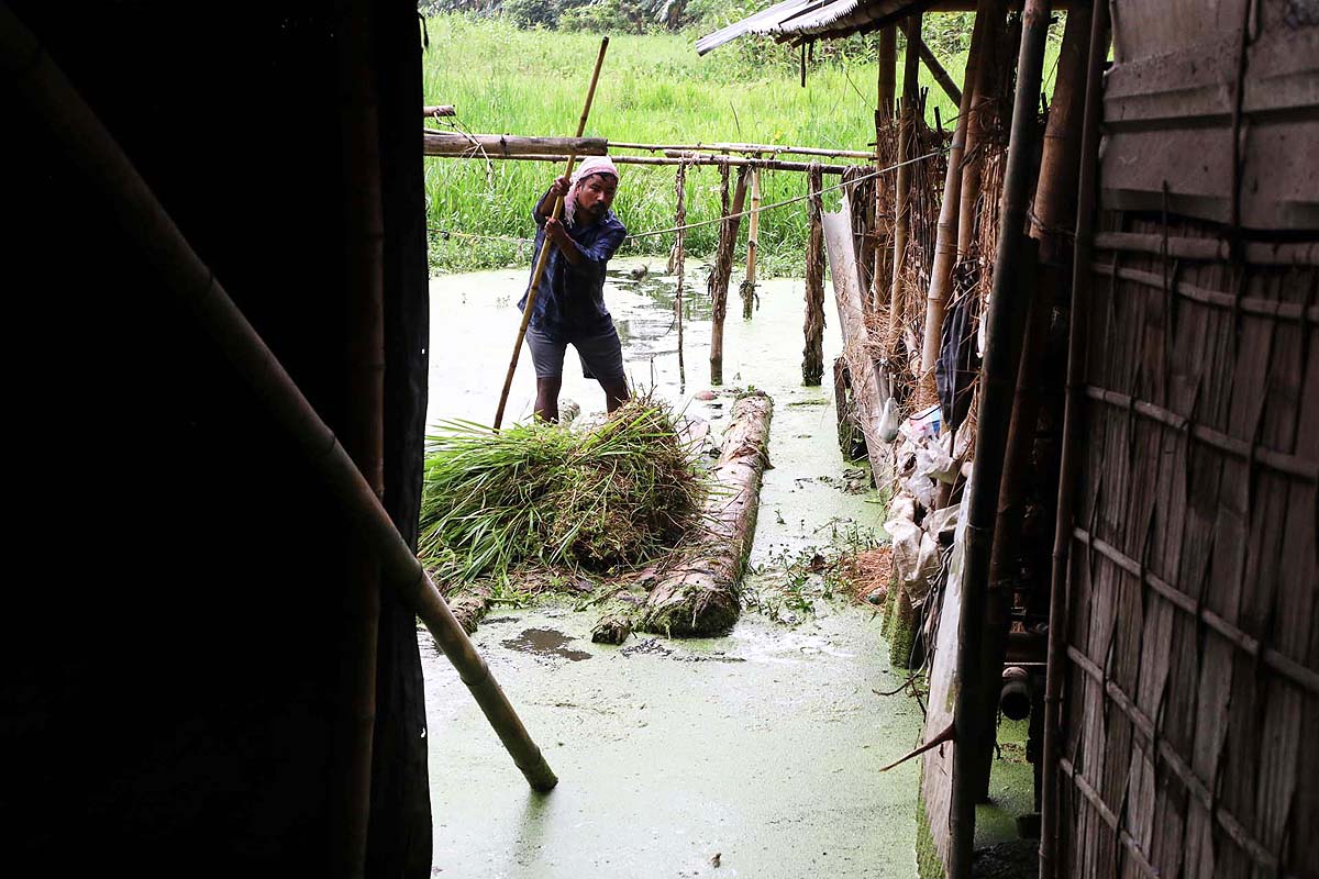 Assam Flood