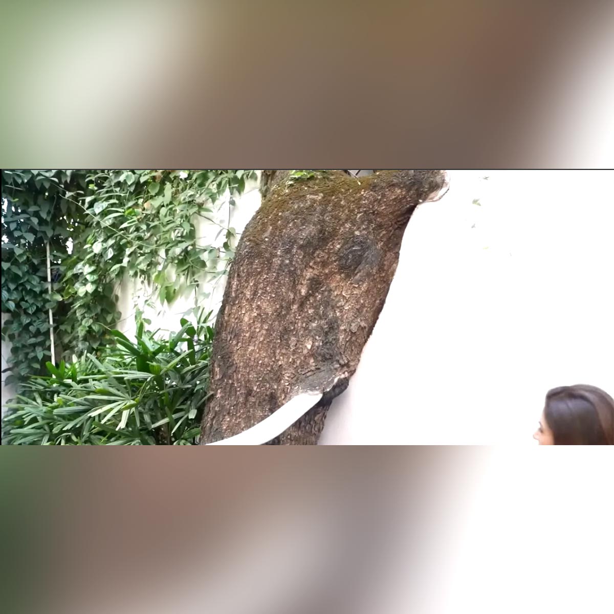 भाग्यश्री का महल