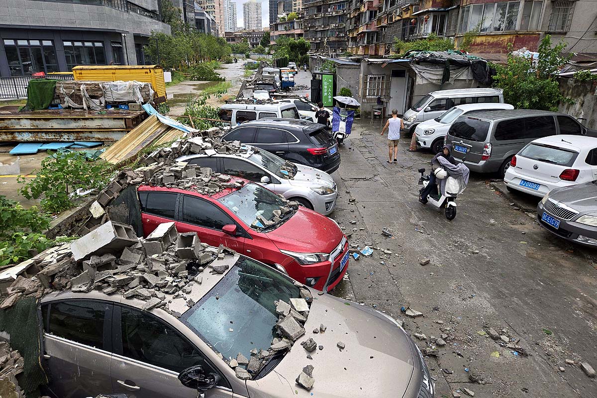 china dolphin aftermath