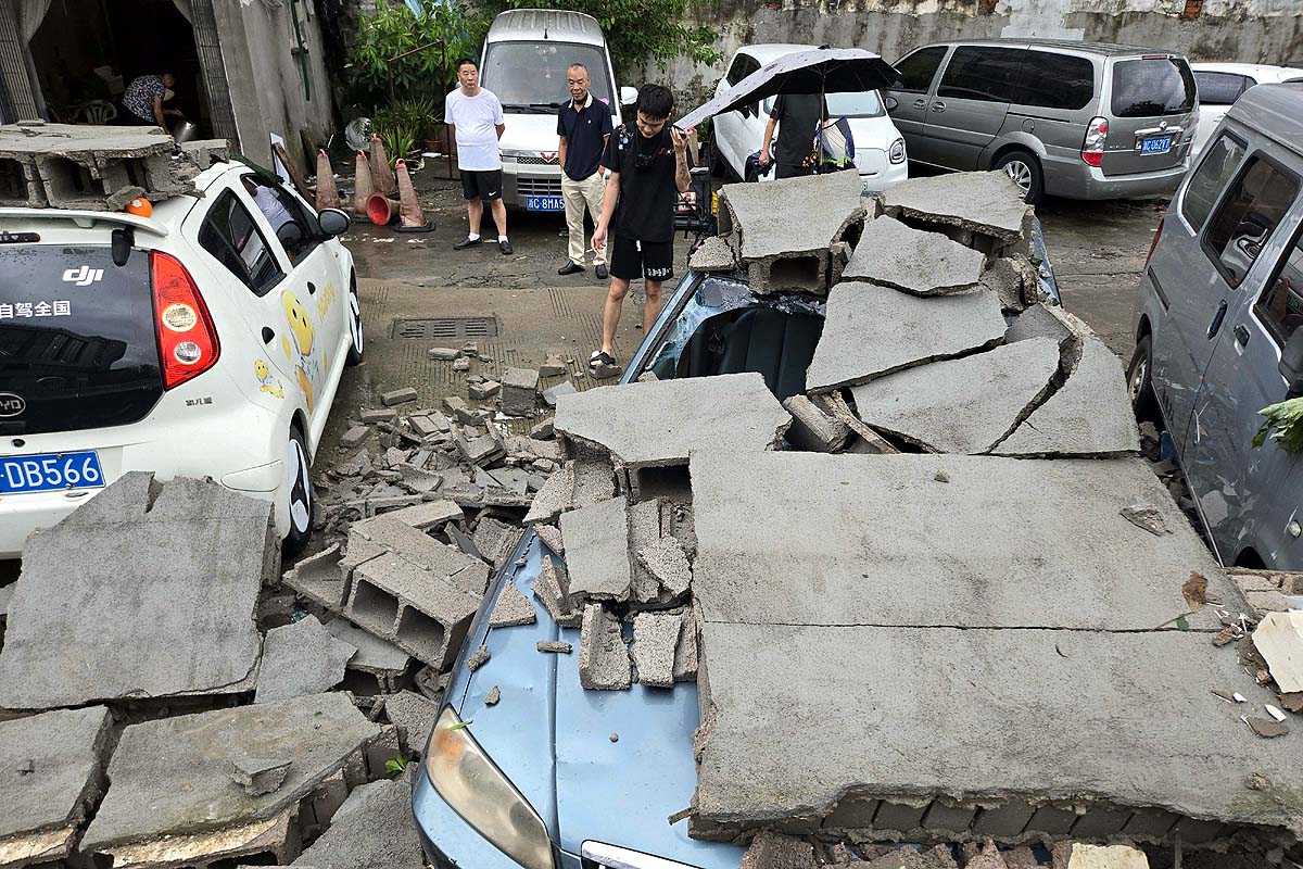 china dolphin aftermath
