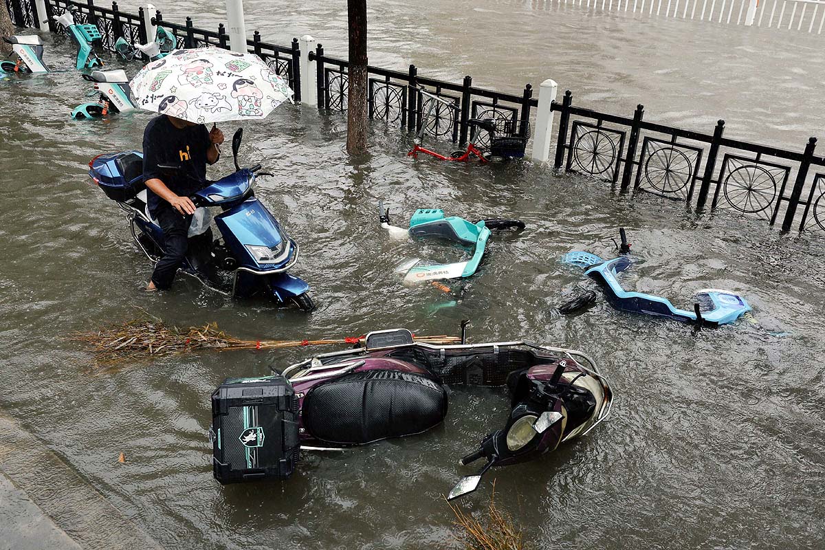 china dolphin aftermath