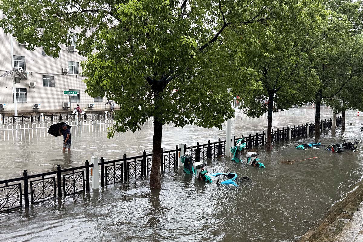 china dolphin aftermath