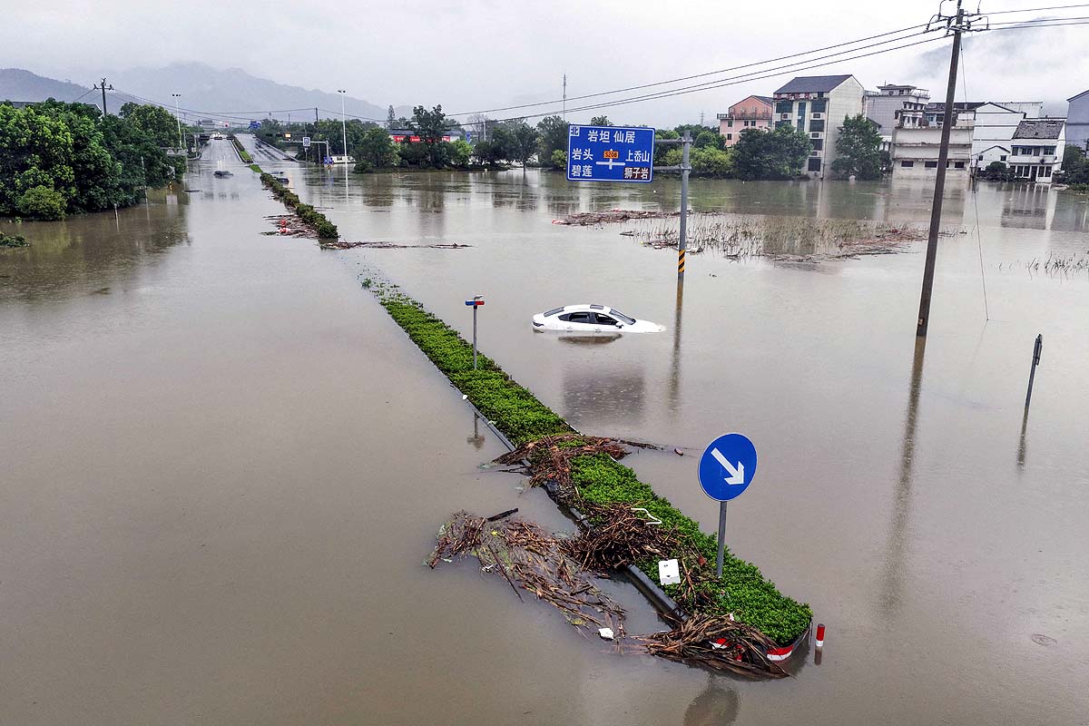 china dolphin aftermath