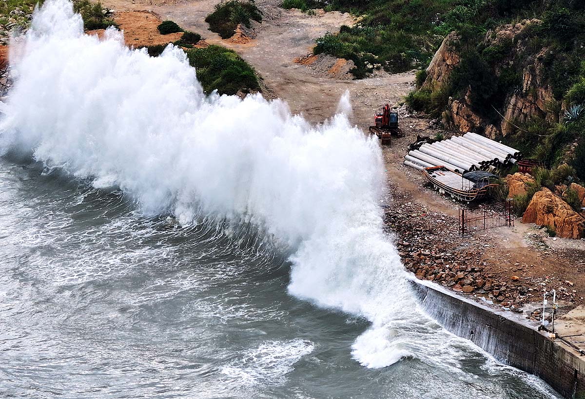 Typhoon Dolphin China
