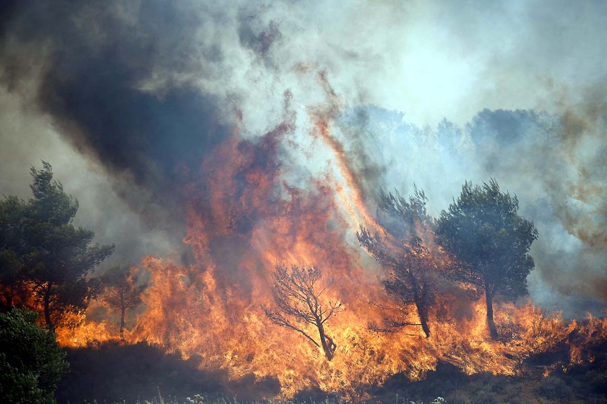 Greece wildfire