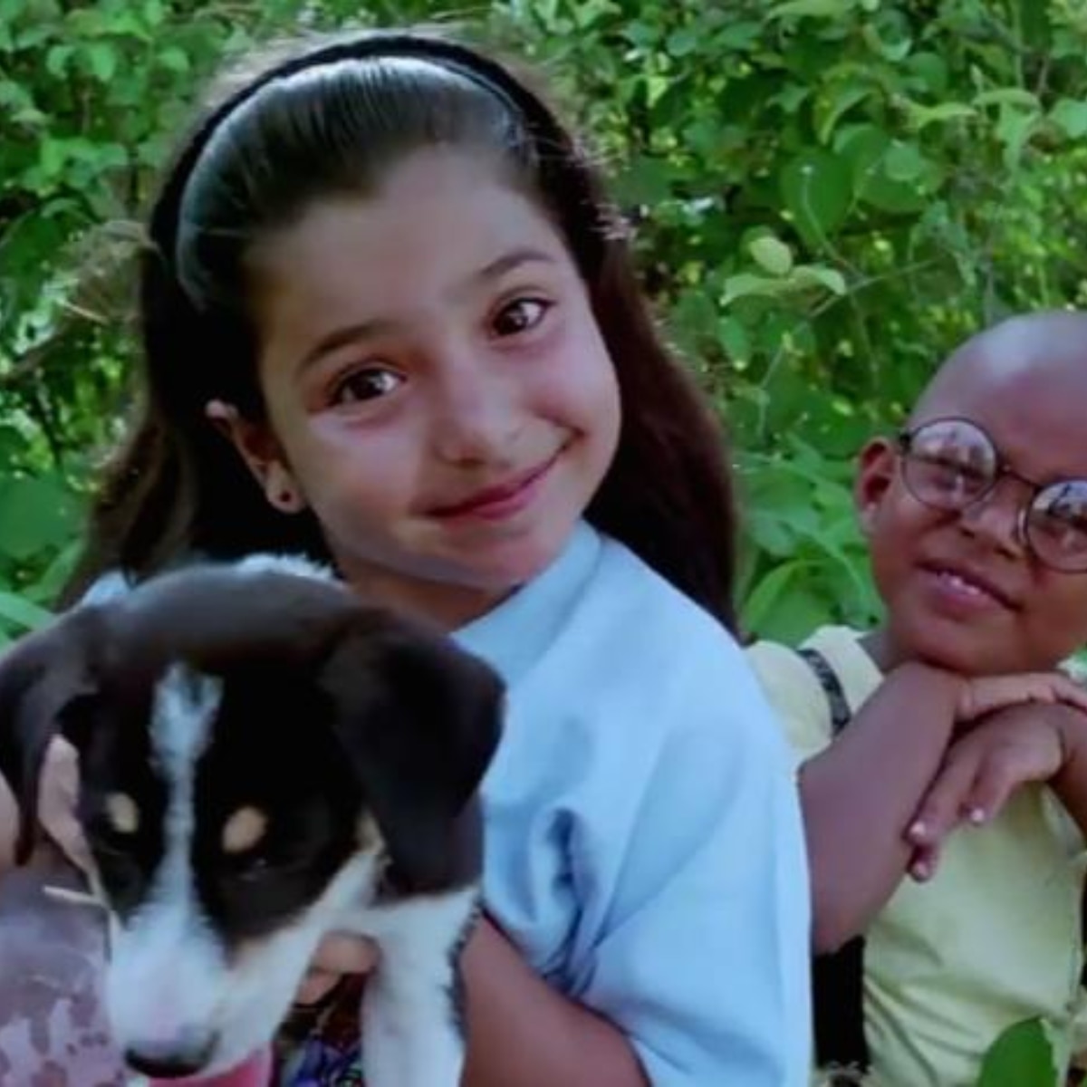 best dog movies