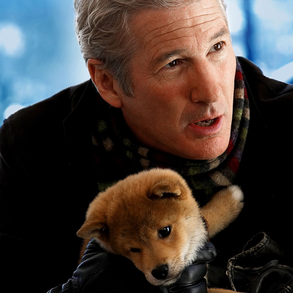 best dog movies