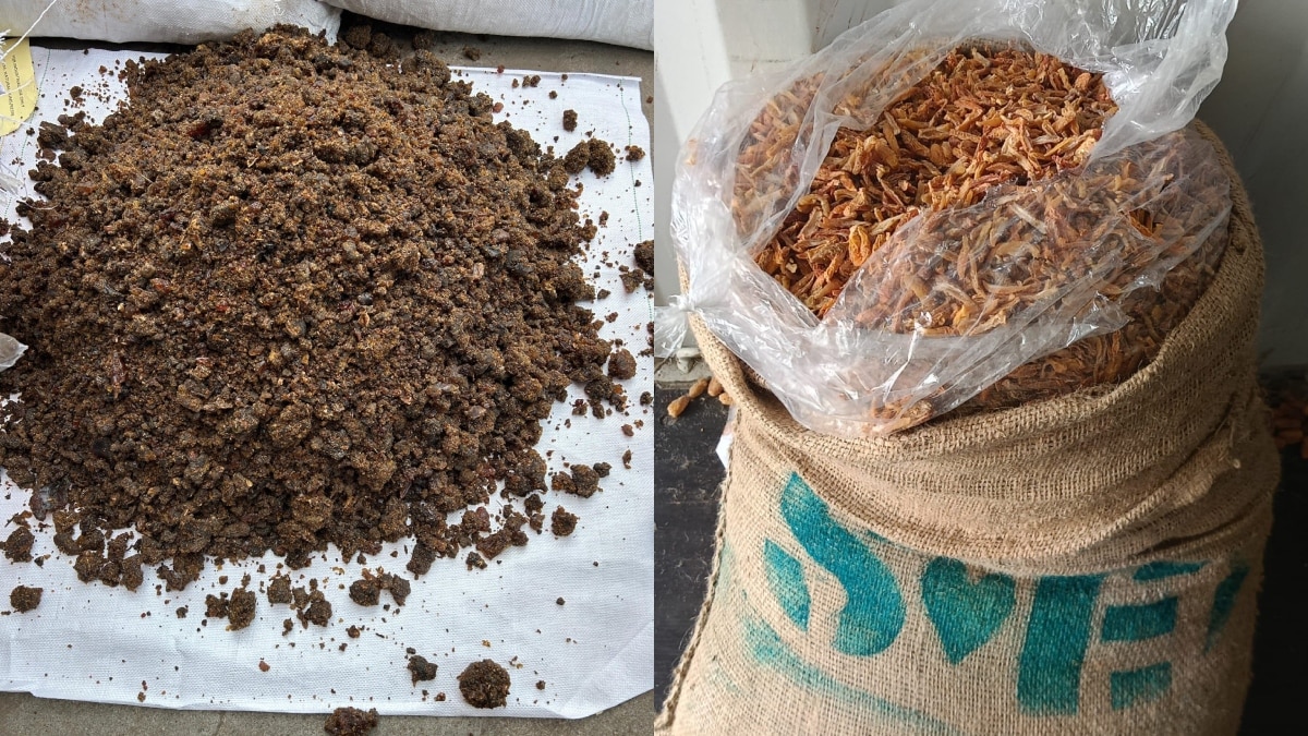 पिछले हफ्ते भी लिया था एक्‍शन