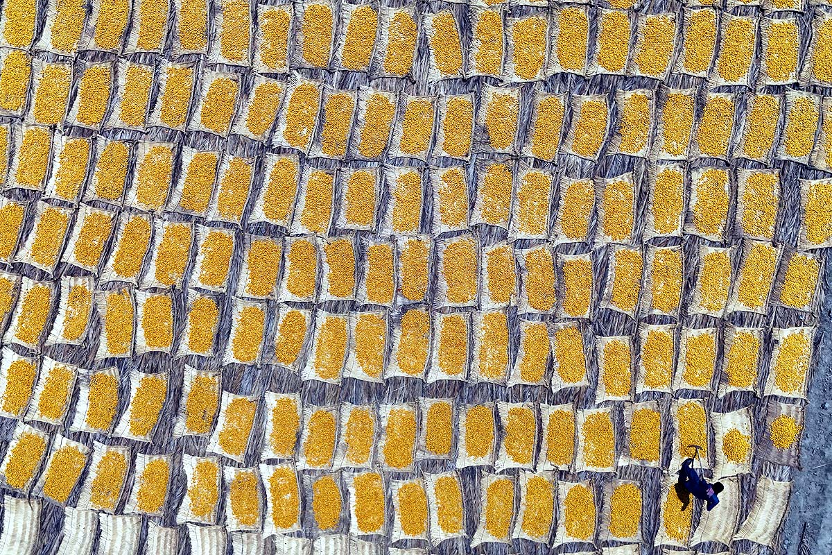 Pakistan Date Workers