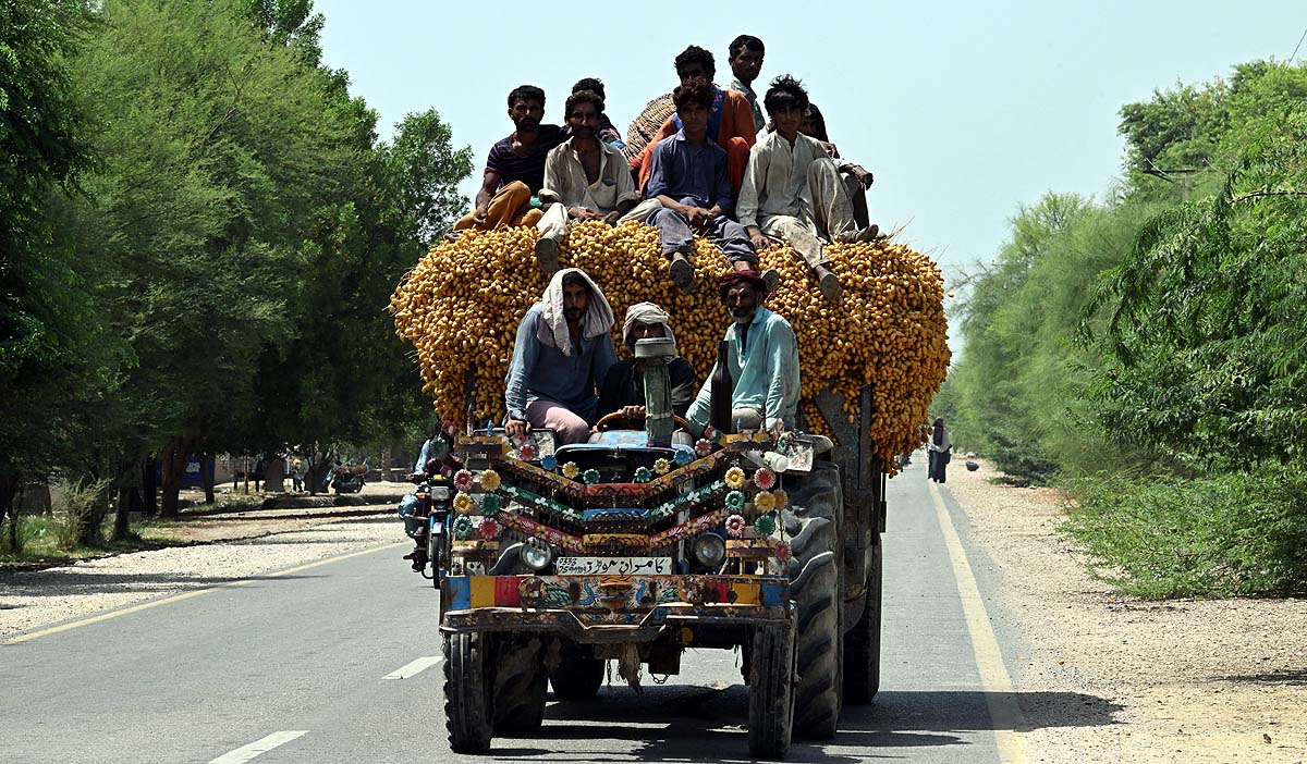Pakistan Date Workers