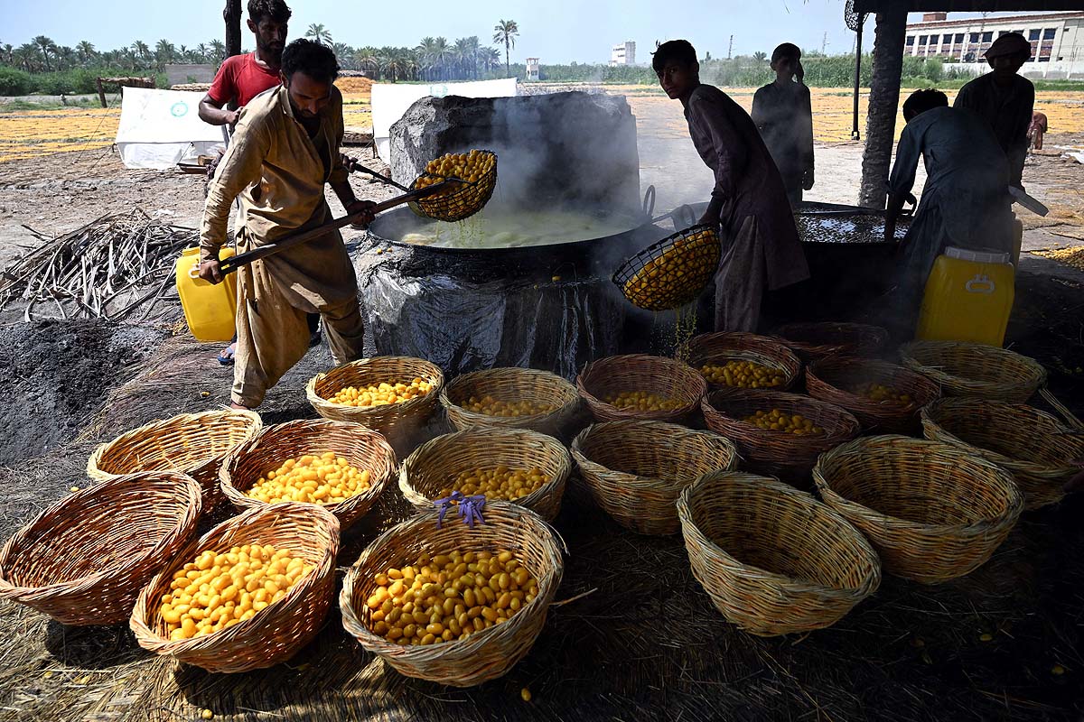 Pakistan Date Workers
