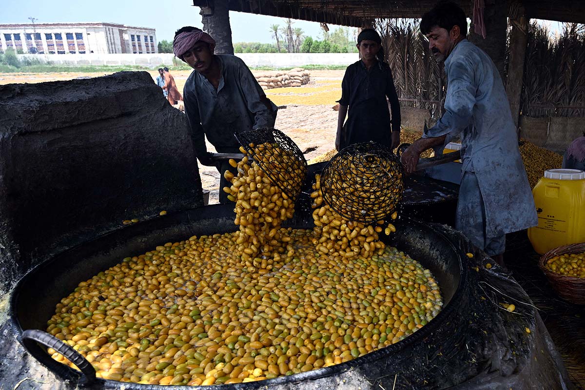 Pakistan Date Workers