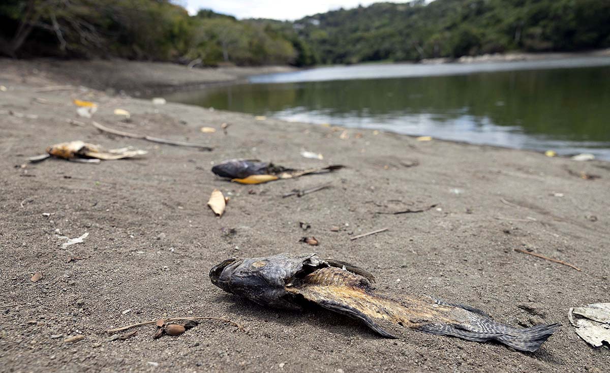 Puerto Rico Water Crisis