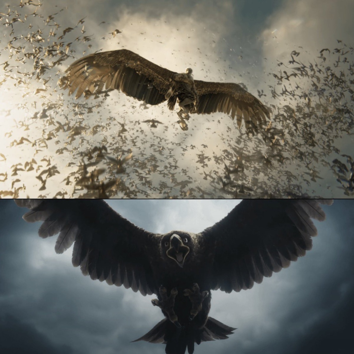 Jatayu