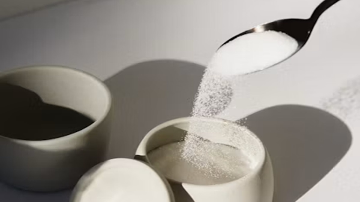 Sugar price Noida