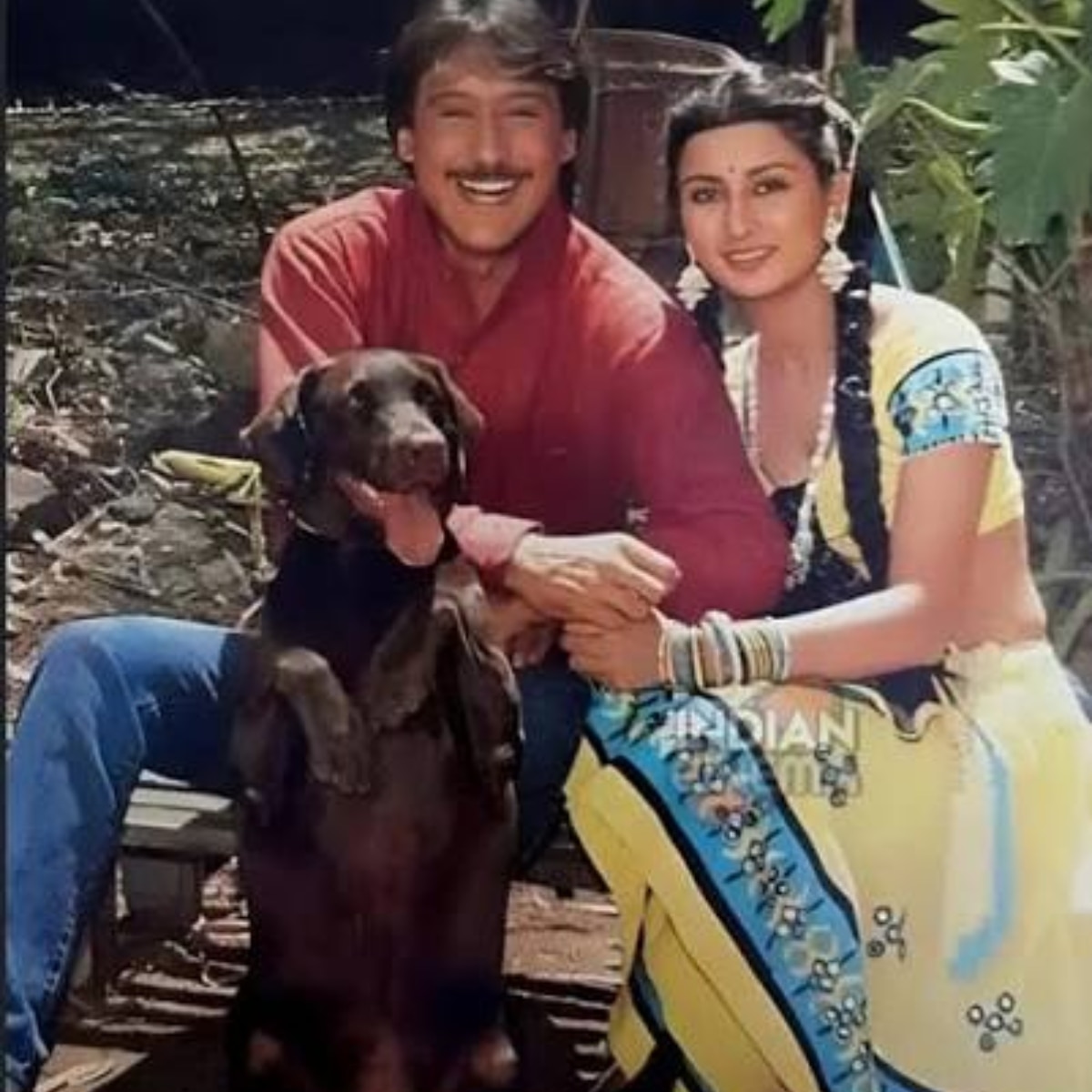 best dog movies