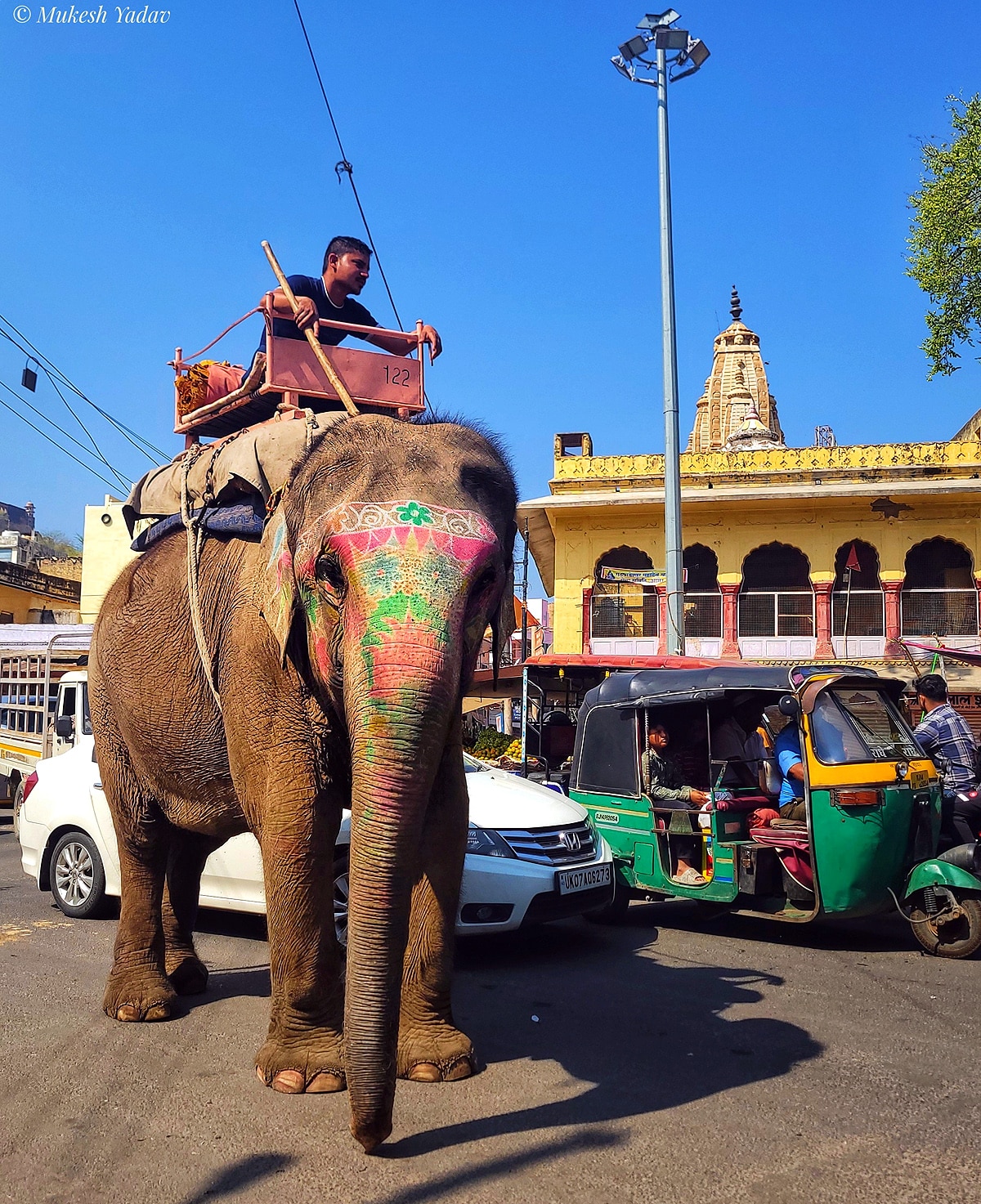 World Elephant Day