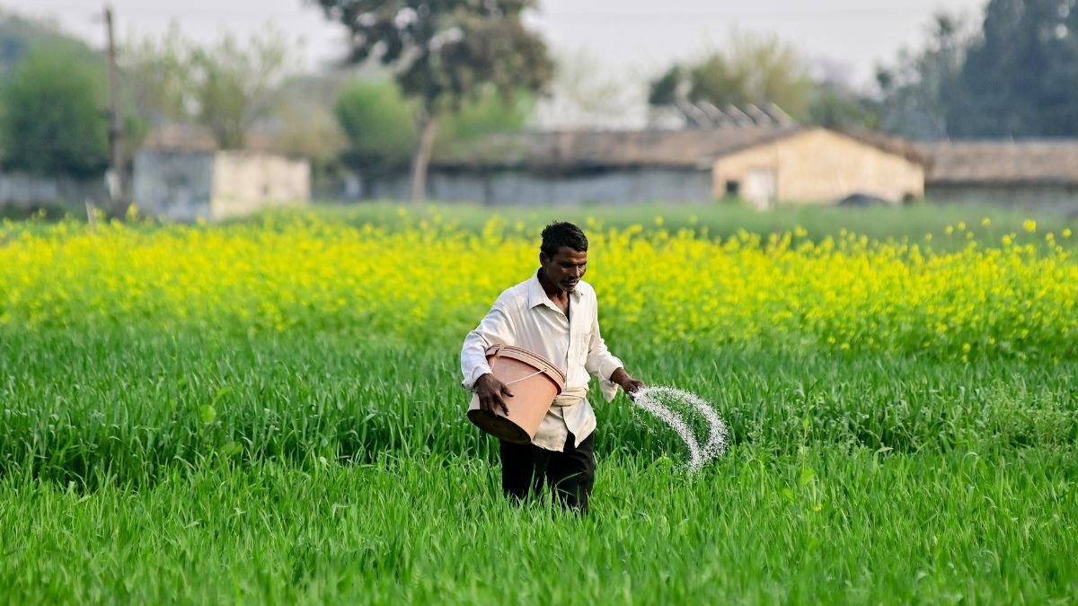 PM-Kisan Scheme (Photo/PTI)