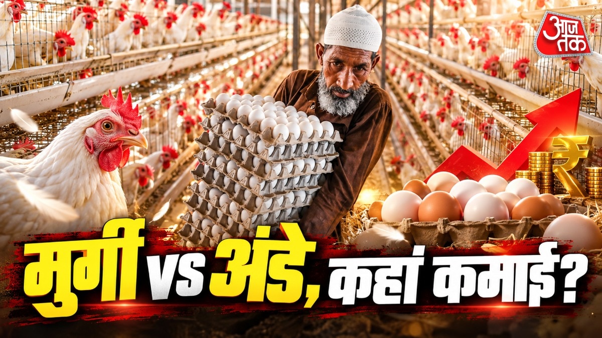 Poultry Farming: मुर्गी या अंडे... क्या बेचने से ज्यादा कमाई? समझ जाएंगे ये गणित तो छाप लेंगे नोट