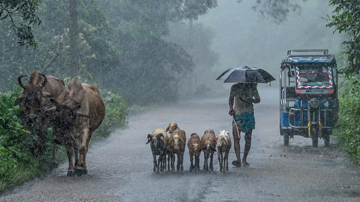 India weather