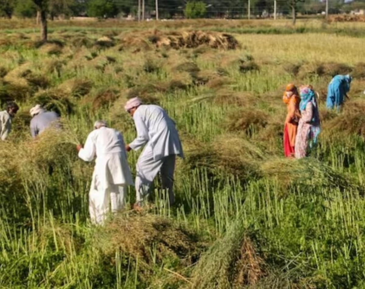 BVY पर क्या-क्या जानकारी? 