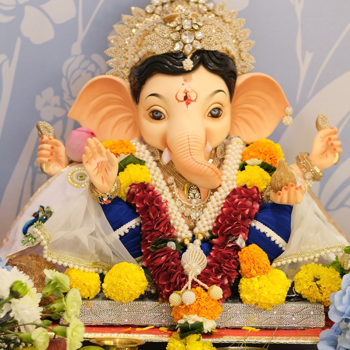 दिव्यांका त्रिपाठी
