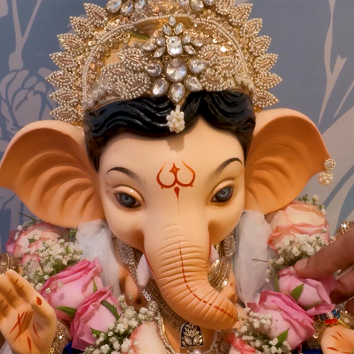 दिव्यांका त्रिपाठी