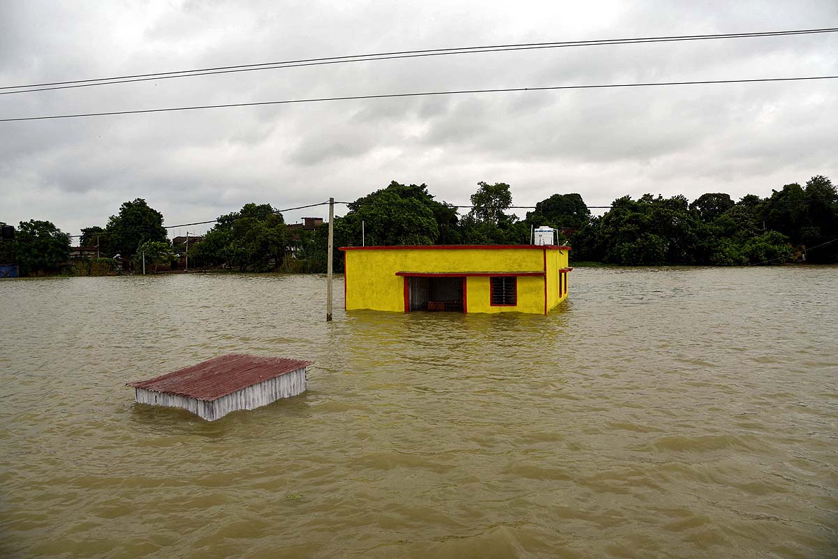 El-nino Heat Deaths
