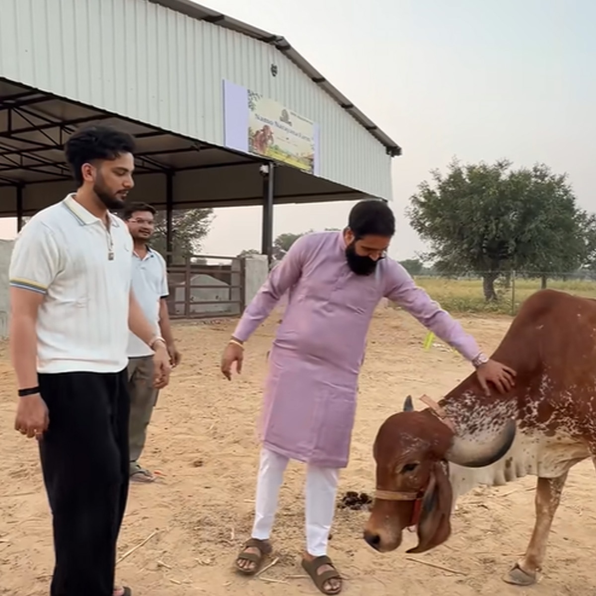 एल्विश यादव 