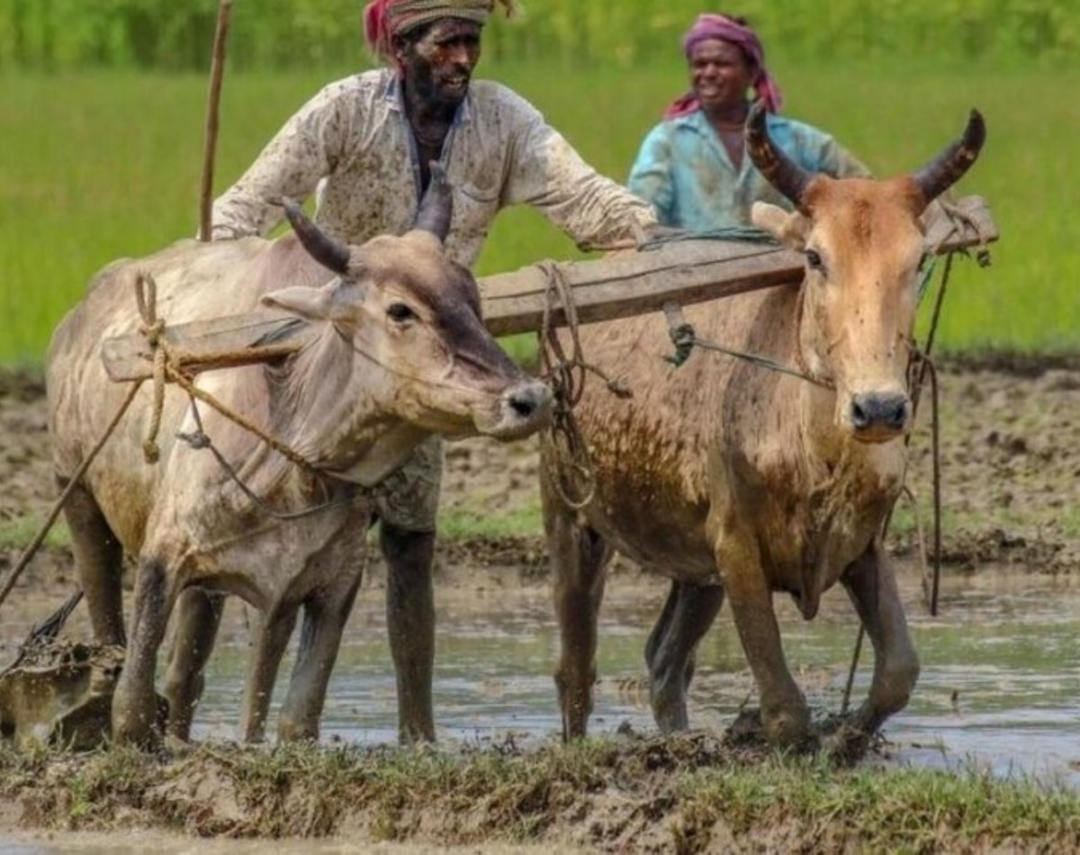 स्कीम के लिए क्या है ऐज लिमिट?