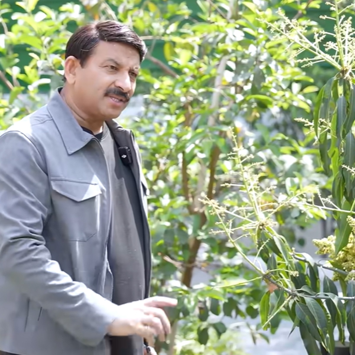 मनोज तिवारी
