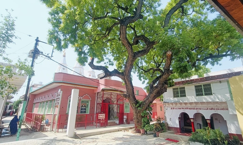 नीम करोली बाबा