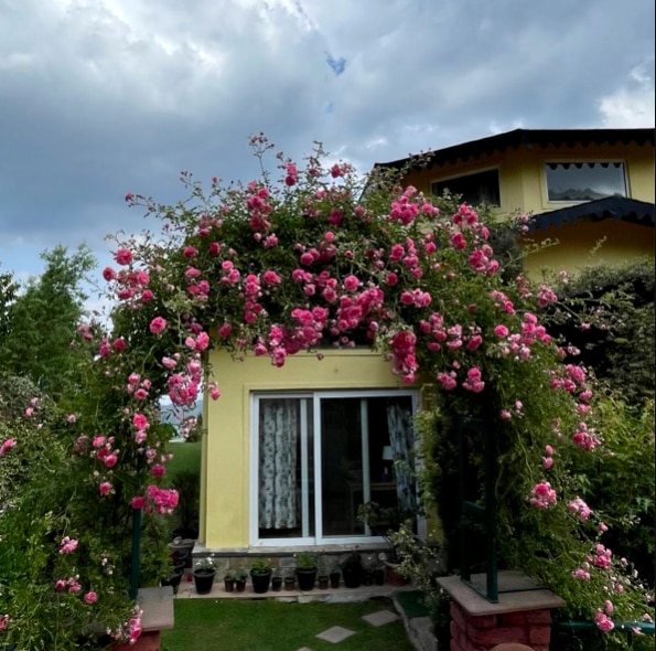 Neena Gupta home tour 