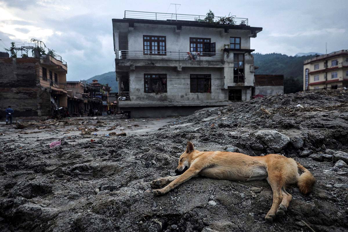 Nepal Flood Photos